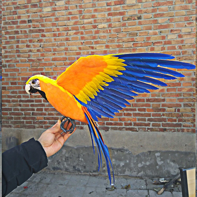 large-45x60cm-foam-feathers-colourful-feathers-parrot-spreading-wings-bird-hard-model-stage-prop-craft-garden-decoration-s2635