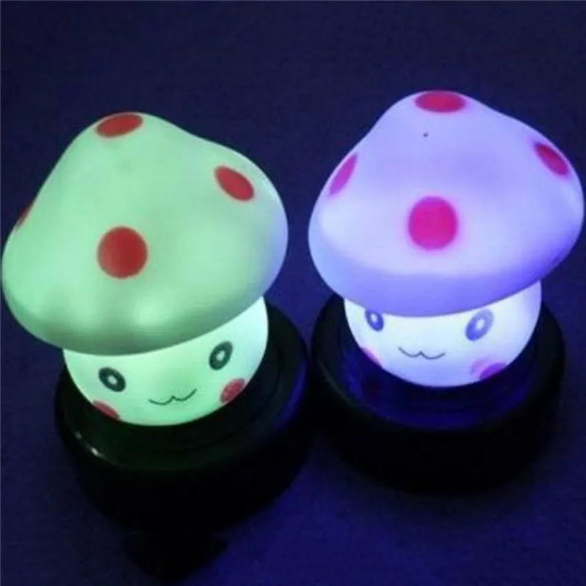 1005035- (7)