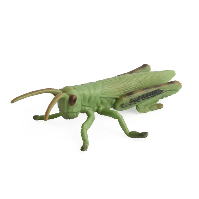 

Grasshopper Simulation Insects Model Animal Ornaments PVC Plastic Science and Education Cognitive Animal Model Gift Toys