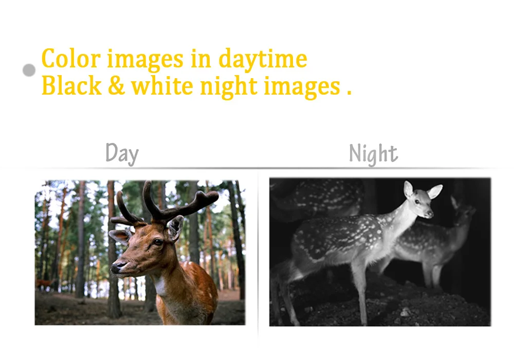 Outdoor Hunting Trail Camera 0 1