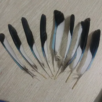 

New! Wholesale 100 pcs Natural Pheasant Feathers 8-10 cm/3-4 inches Diy jewelry wedding decorative accessories