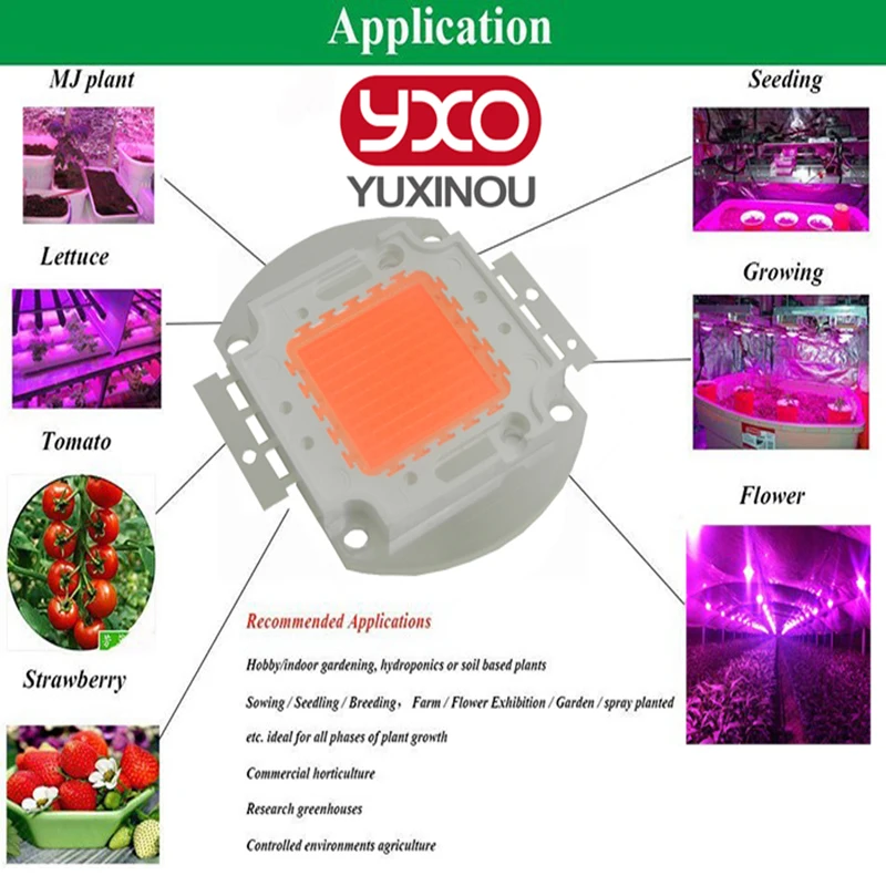 1W-100W LED GROW CHIP-4