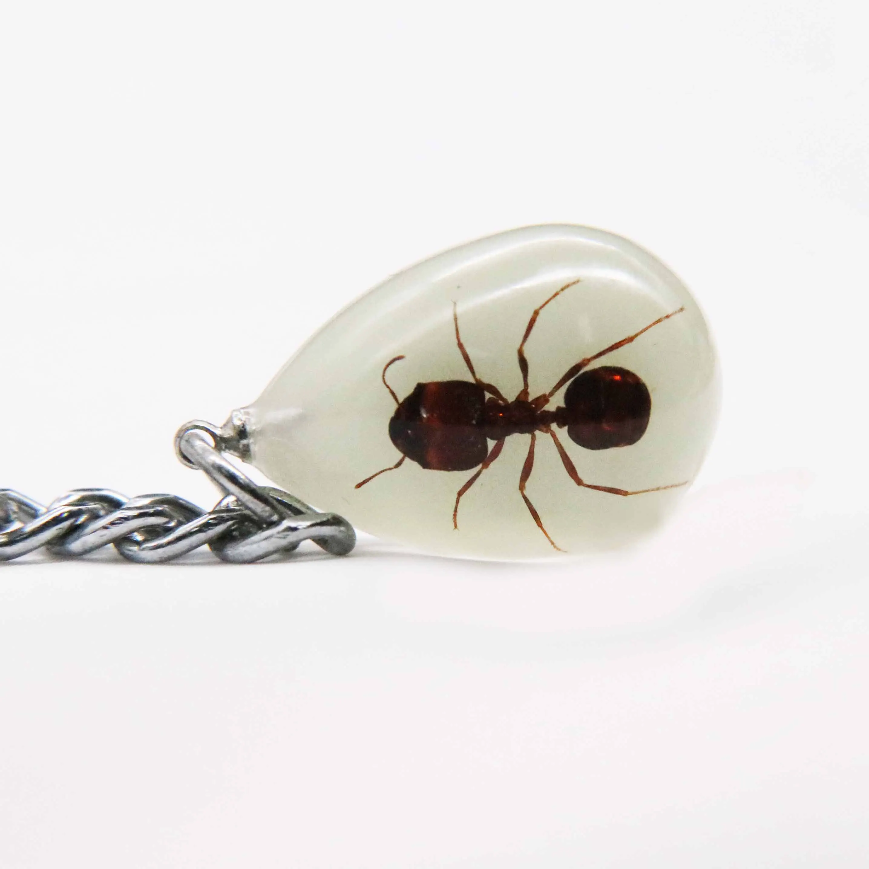 Real glow in the dark insect ant drop shape art jewelry key rings