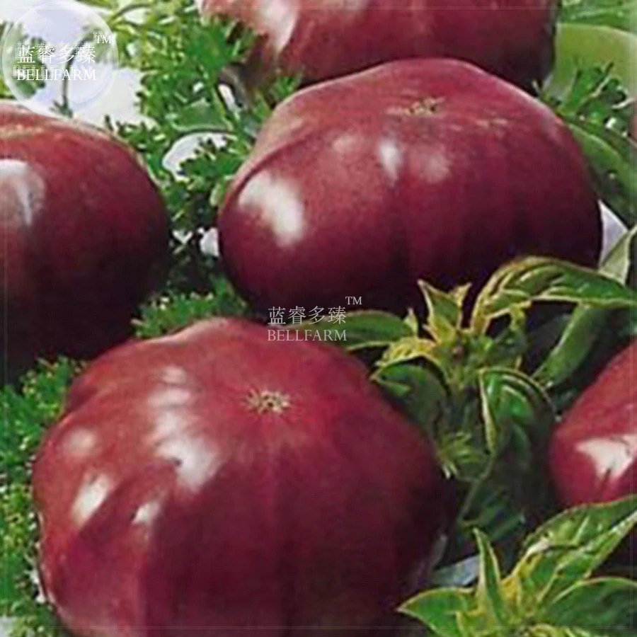 It is easy to grow real tasty kiwi at home on the windowsill. Here' It is easy to grow real tasty kiwi at home on the windowsill. Here'