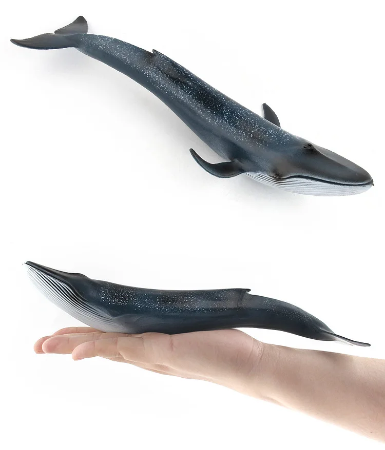 Фигурки в виде животных акулы Кита 33 типа имитация Humpback Beluga синие игрушечные киты