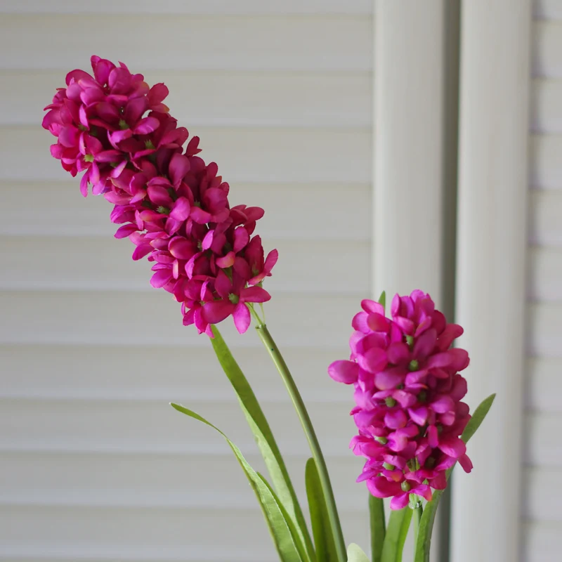 IMGP0437