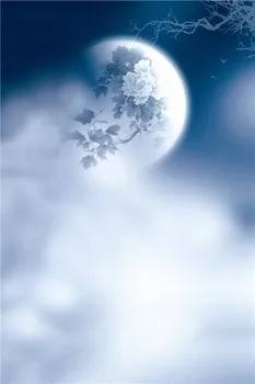 

LIFE MAGIC BOX Full Moon 150x200cm Custom Photo Backdrops Portrait Backgrounds N10460
