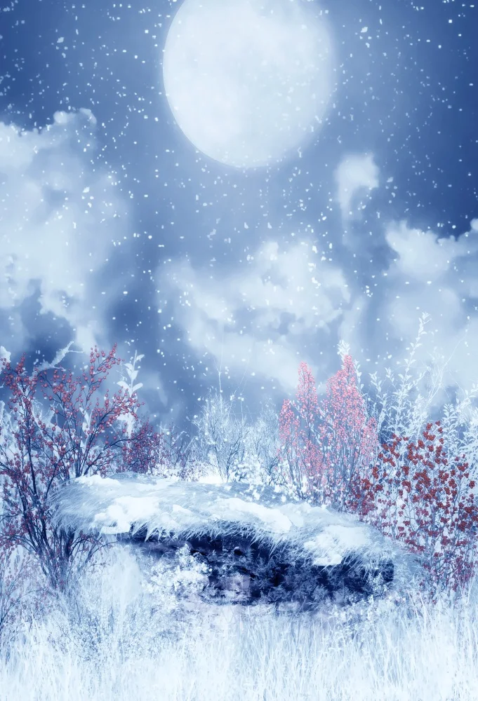 

Laeacco Painting Mooon Snowing Night Scene Children Photographic Backgrounds Customized Photography Backdrops For Photo Studio