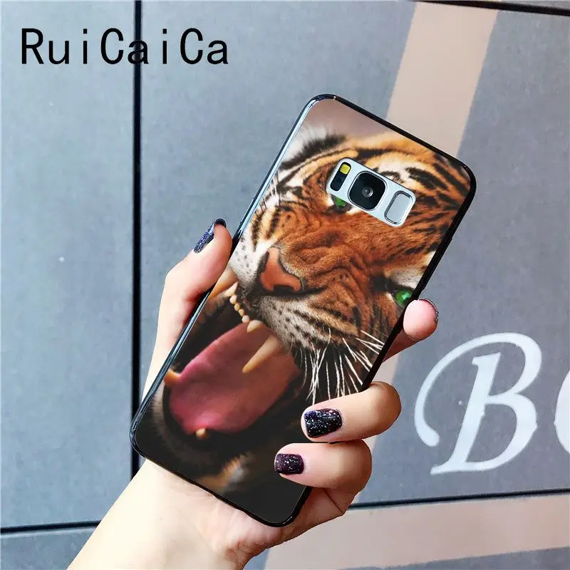 tiger fashion