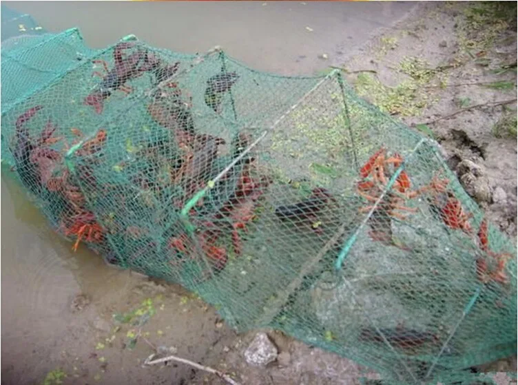 Gaiola de Pesca à Terra Gaiola para Peixes Novo Seções Entrada Gaiola Pesca Net China Lagosta Armadilha Caranguejo Rede 10m 33 20 11 china lagosta armadilha caranguejo rede gaiola para peixes caranguejo gaiola