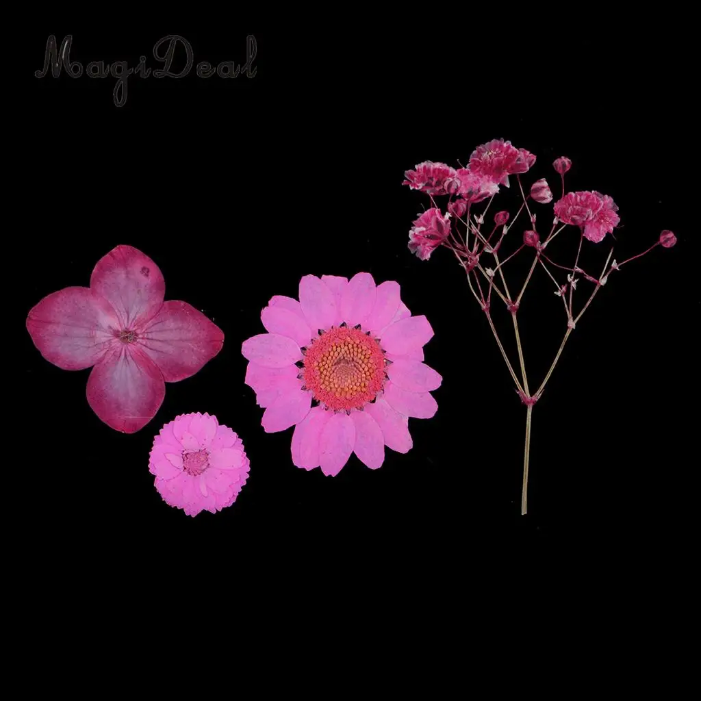Beautiful Multiple Real Pressed Leaves Natural Dried Flowers for Art Craft Scrapbooking Card Making  Resin Jewelry Craft DIY