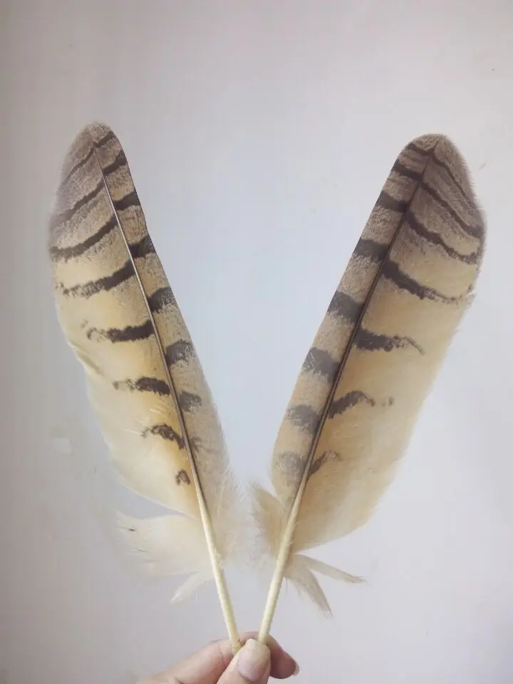 

New! 10 pc quality natural owl feathers, 9-14inches / 22-30cm, DIY jewelry decoration