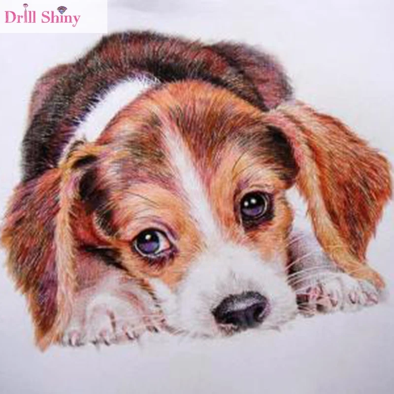 

Drill Shiny Dog 5D Diy Diamond Painting Full Square Pasted Embroidery Pattern Paintings Cross Stitch Kits Animal Handmade Crafts