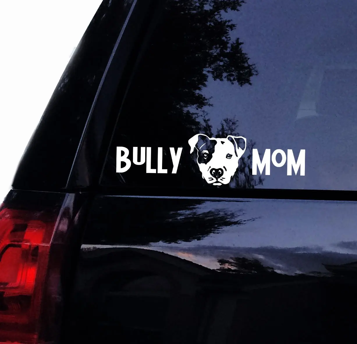 Футболка Rocket Pitbull deckle Bully Mom Pit Face (C) наклейка на автомобиль ноутбук окно (8