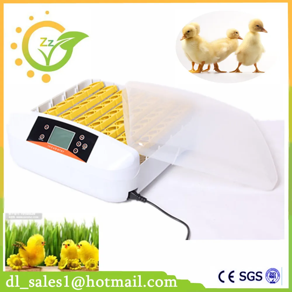 

home use mini egg incubator cheap 56 eggs hatchery equipment for sale