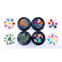 1 Набор/4 коробки 3D украшения для дизайна ногтей цветок Натуральные сушеные цветы Маргаритка Декор настоящий консервированный цветочный лист смешанные сухие аксессуары
