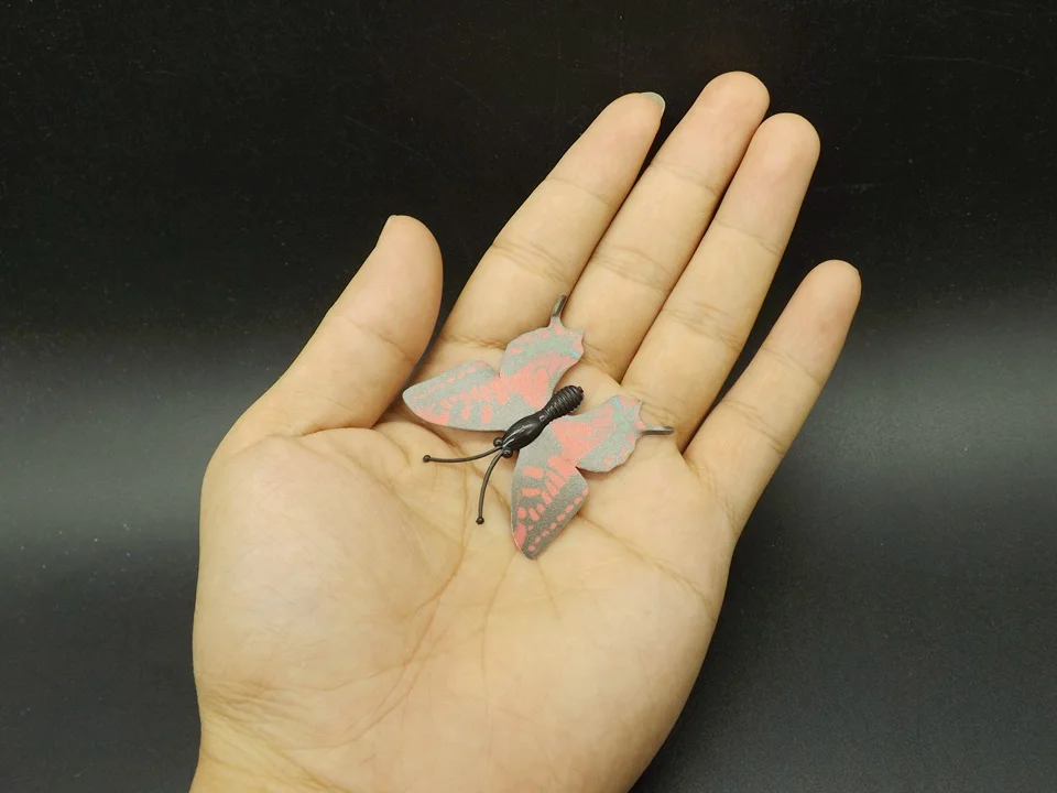 I245-Butterfly (5)