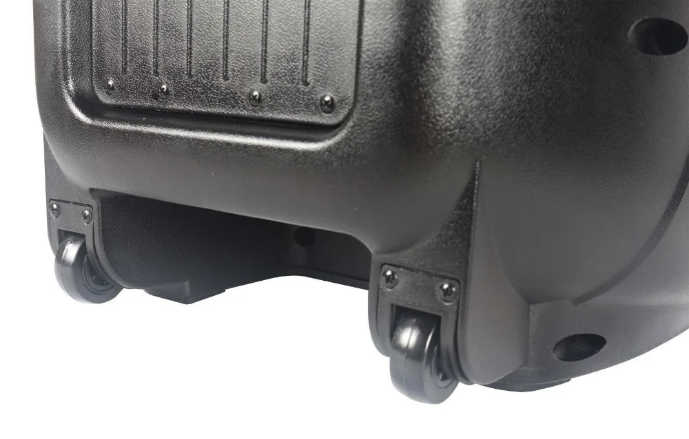 dual 15 inch speaker