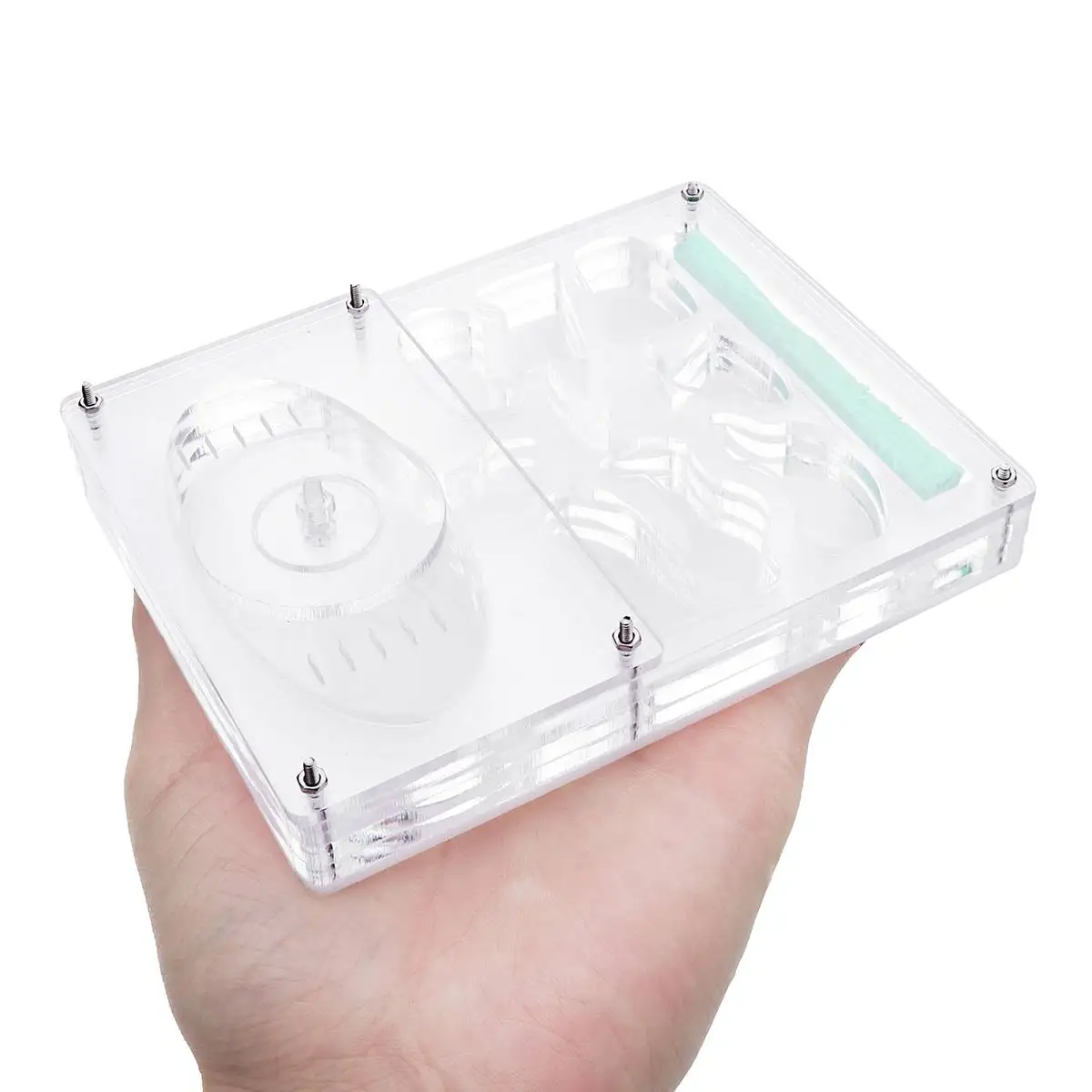 

130* 100* 20mm Transparent 3D Nursery Ant Farm Formicarium Insect Nest Maze Novelty Habitat Feeding System Plastic Ant Boxes