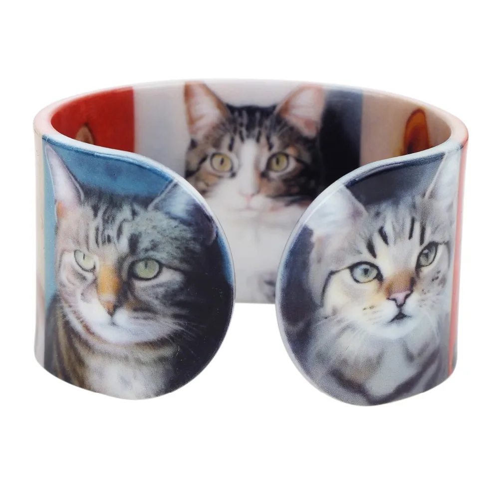 Bonsny пластиковые кошачьи браслеты с котенком модные индийские массивные