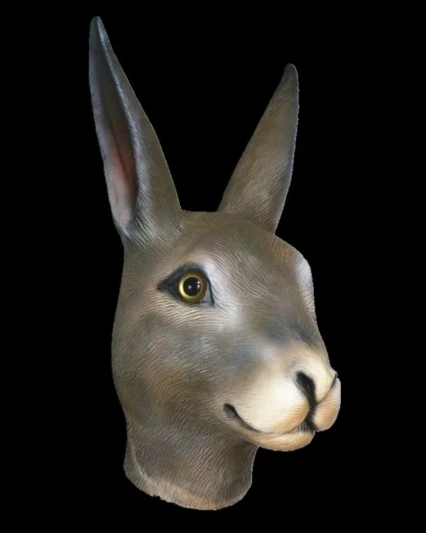 Rabbit HY-AM010-3