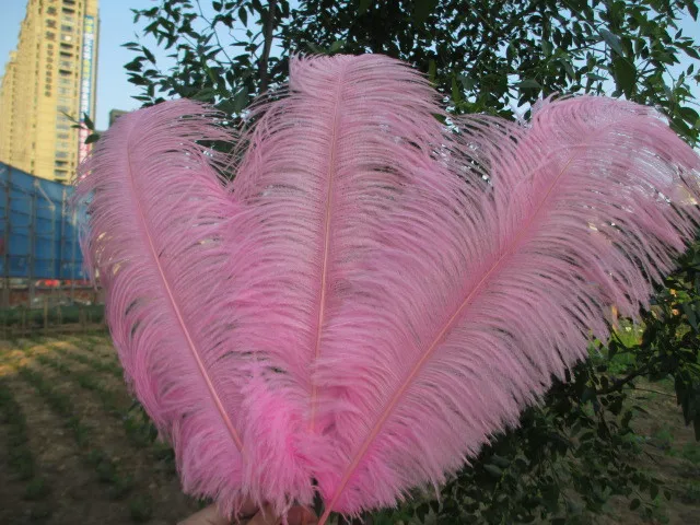 orchid feathers wholesale