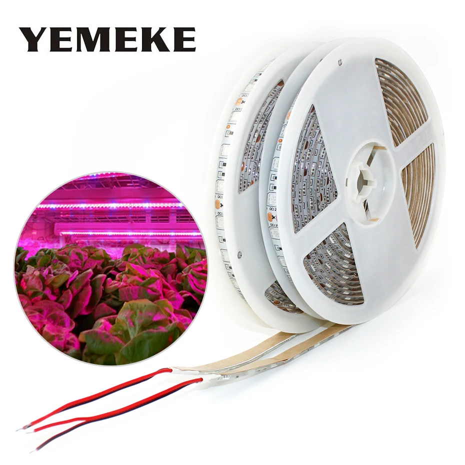 

5M LED Plant Grow Grow Lights 5050 DC 12V Phyto Lamps Full Spectrum Led Strip Good For Greenhouse Hydroponic Plants Growth