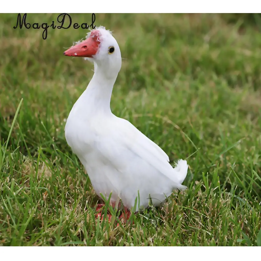 MagiDeal Artificial Bird Realistic Parrot Goose Cormorant Swallow Swan Figurine Garden Decor Craft