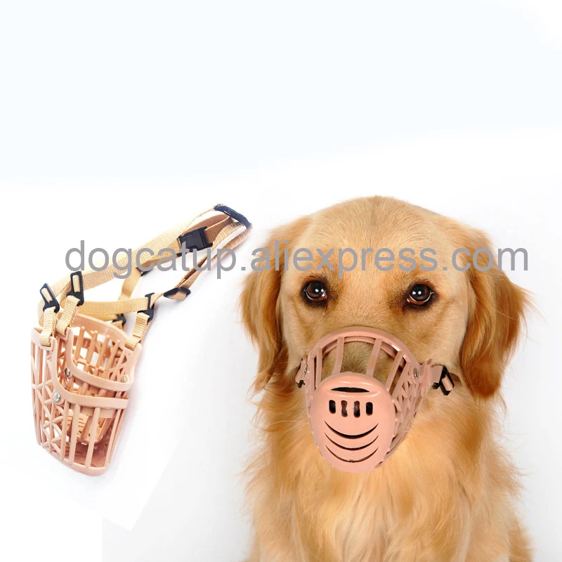 HTB1d5KVhlmWBuNkSndVq6AsApXa8 