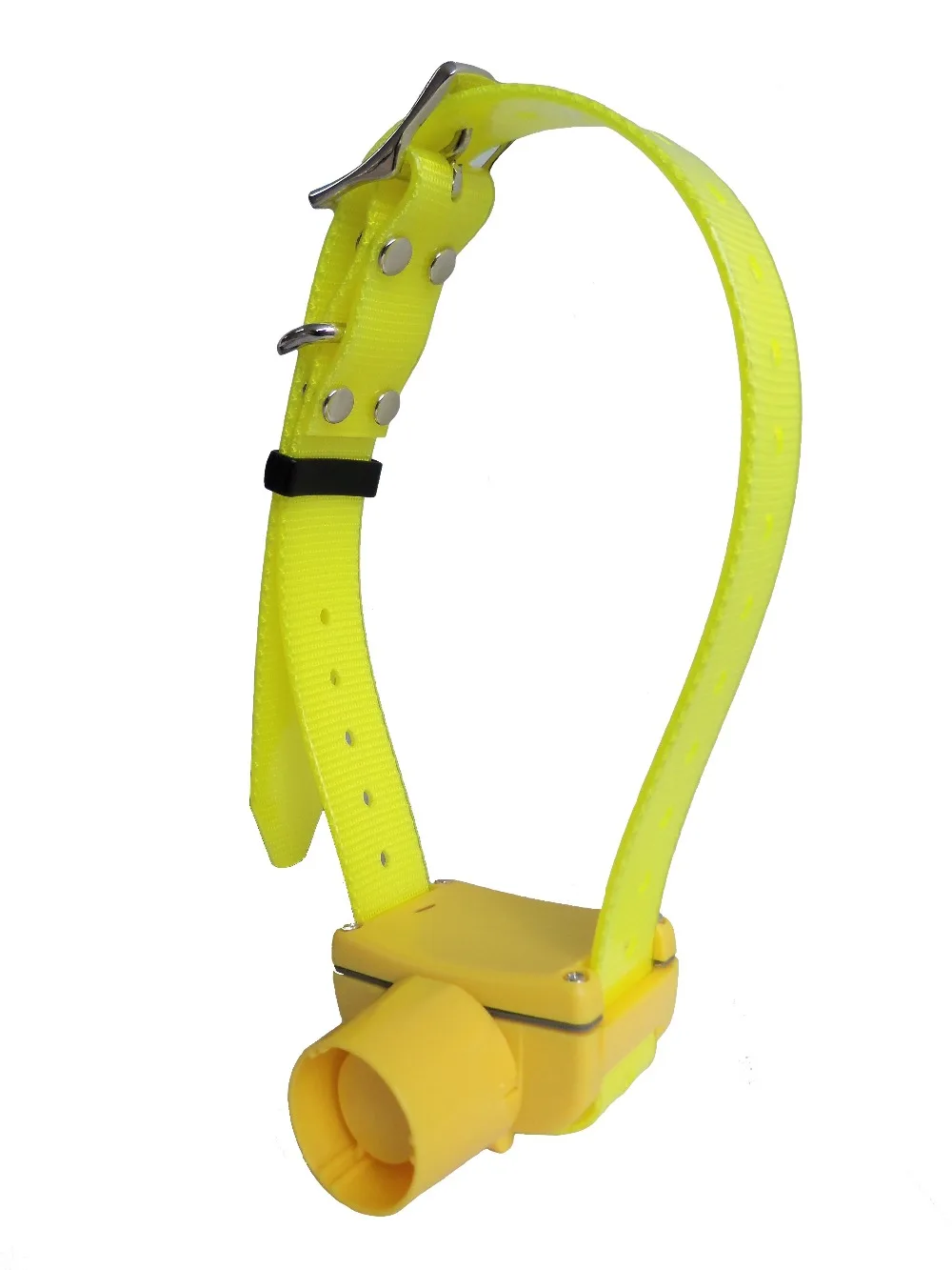 Wild Bird dog hunting beeper collar with 2 years warrantycollar clipcollar ledcollar jewellery