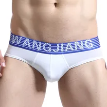 WJ Brand Ice Silk Mens Briefs Underwear Sheer Softy Slip Male Underpants Thin Sexy U pouch Man Panties Low Rise