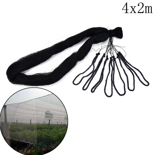 4x2m Wholesale Simple Style Anti Bird Bird-preventing Net Netting Mesh For  Fruit Crop Plant Tree Garden 1pcs - Fishing Net - AliExpress