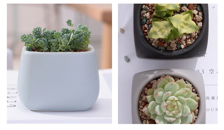 4059116133_675057837