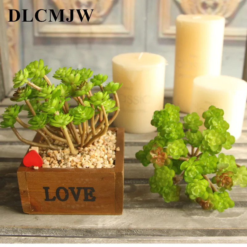 

Artificial Flower Simulation Plastic Meat Plant Potted Office Desktop Decoration Simulation Flower Small Potted Plant