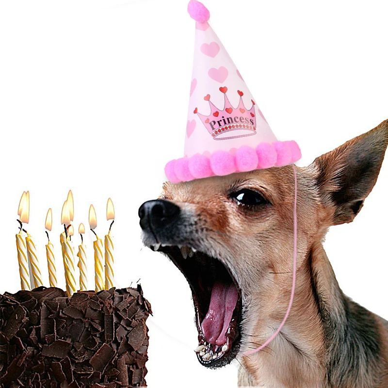 1 комплект, шапки для собак, кошек, собак, на день рождения, головные уборы, шапки, шляпа для животных вечерние головные уборы, костюм для чихуахуа, кошки, собаки, на день рождения, шапка и шарф 3