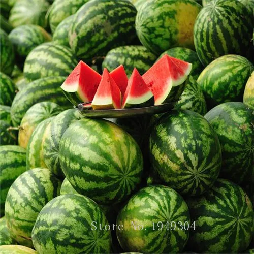 Lazy melon king watermelon bonsai red meat garden balcony Potted fruit 30pcsin Bonsai from Home