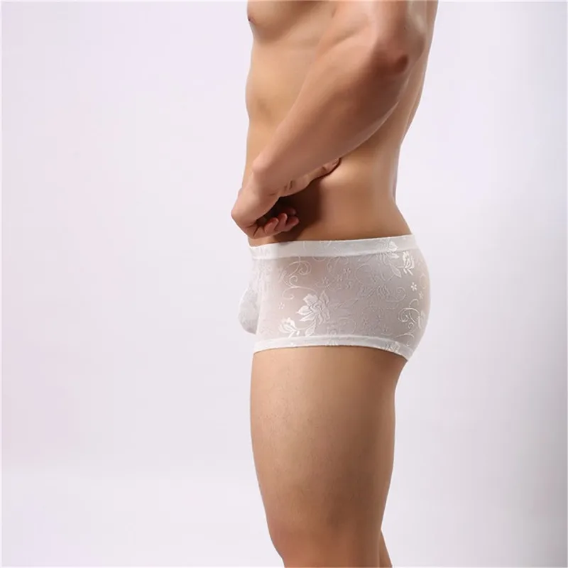 LS504 white-2