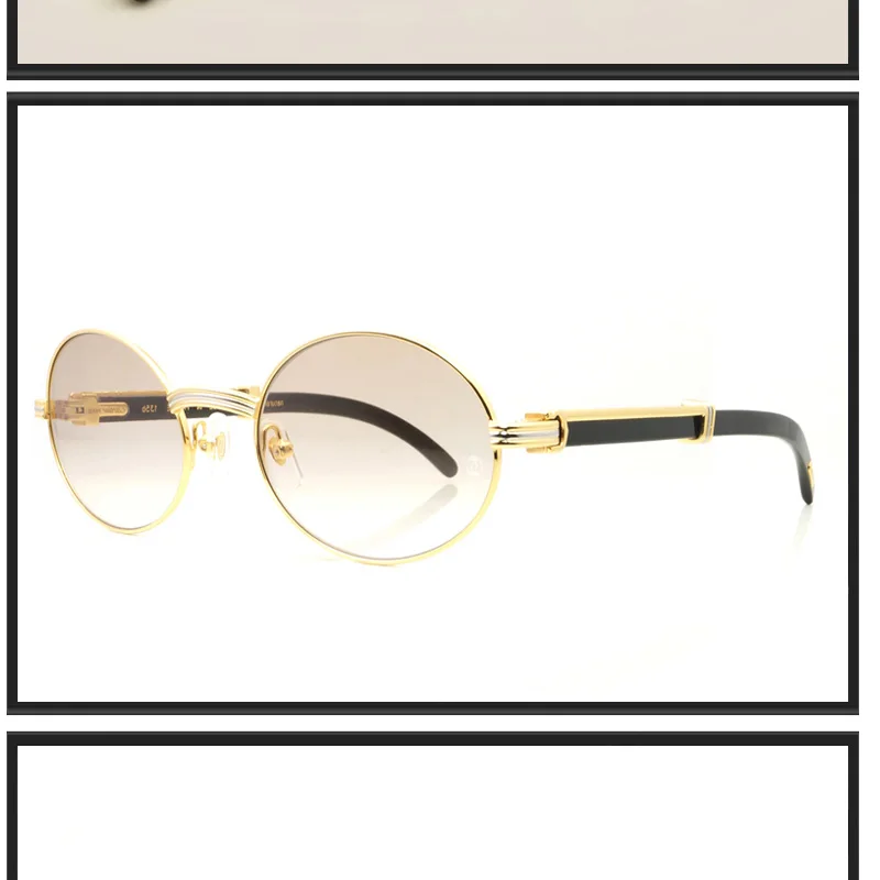 carter sunglasses (10)