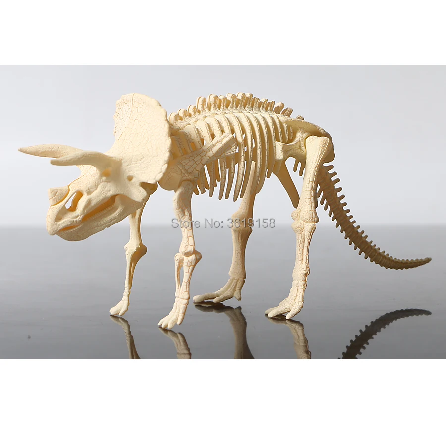 PVC Assembling Dinosaur Skeleton Model Triceratops Figurine Home Decoration