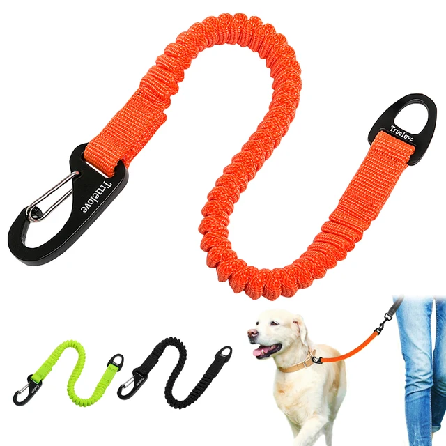 Short Dog Bungee Leash Buffer Elastic Dog Leash Retractable Extending