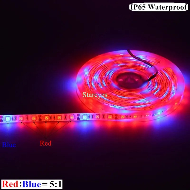 100 шт. SMD 5050 5 м Светодиодная лента для роста, фито-лампа, полный спектр, светодиодный светильник для выращивания растений для теплицы, гидропоники - Испускаемый цвет: 5 Red 1 Blue IP65