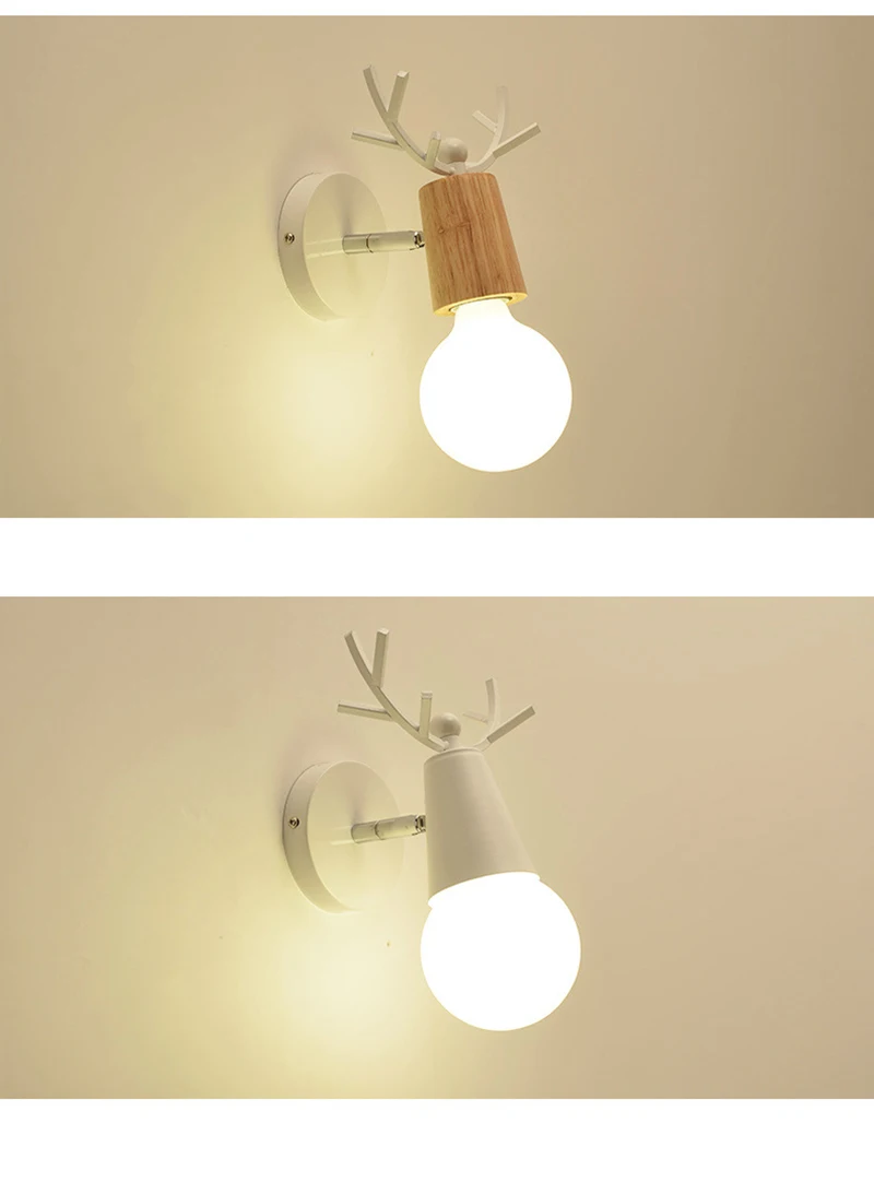 10443609914_867051582