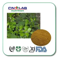 Gymnema sylvestre / gymnema sylvestre schult / Meshashringi Extract  25 % gymnemique acid 100g