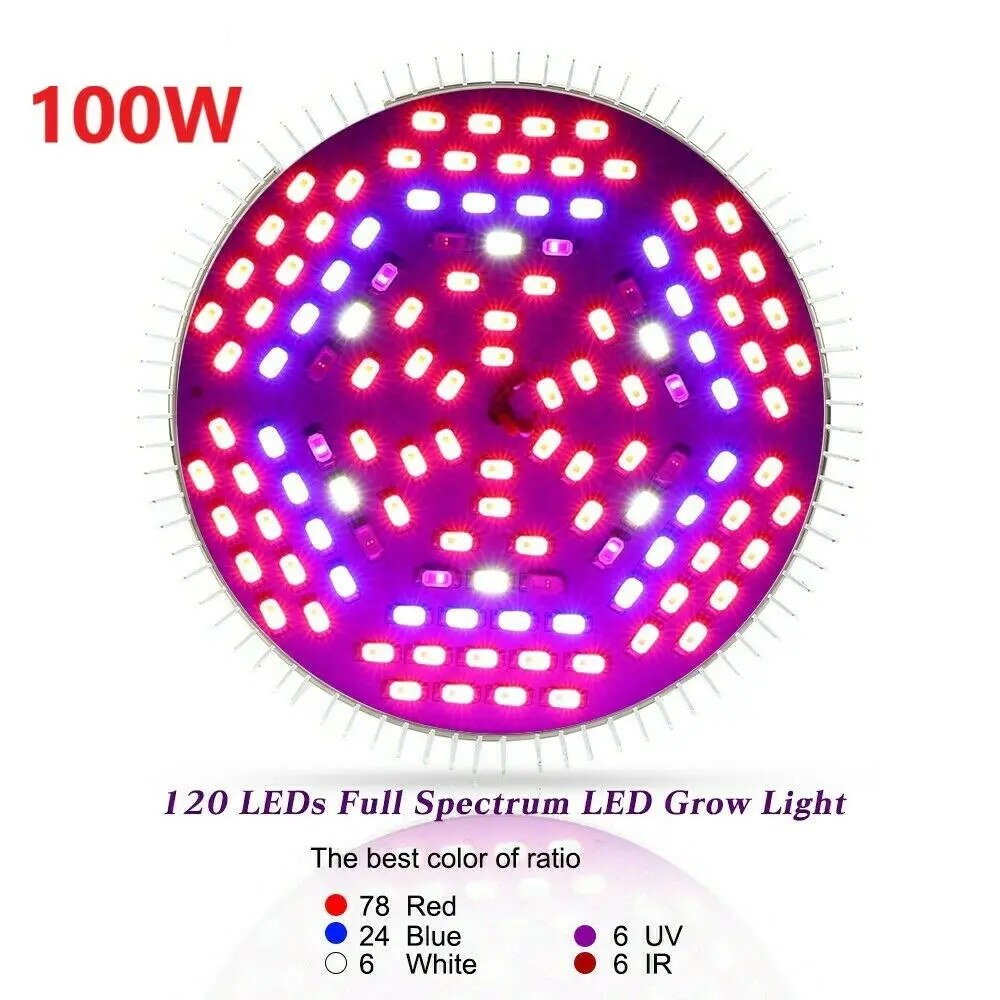s-l1600 (11)