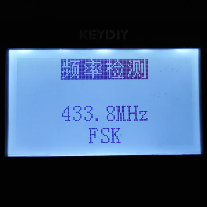 DSCN6873__FSK