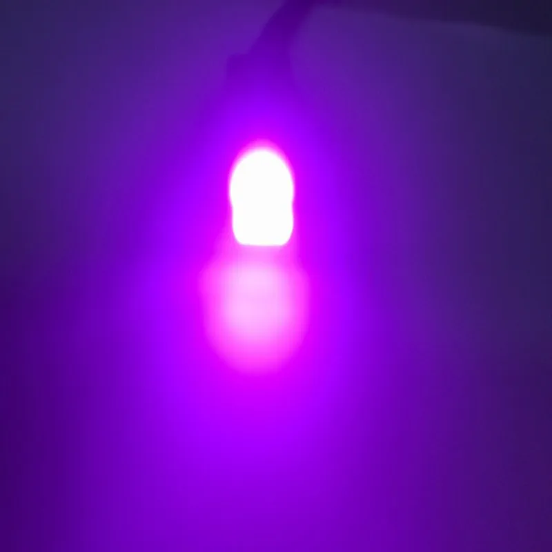 3316061533_736633873_