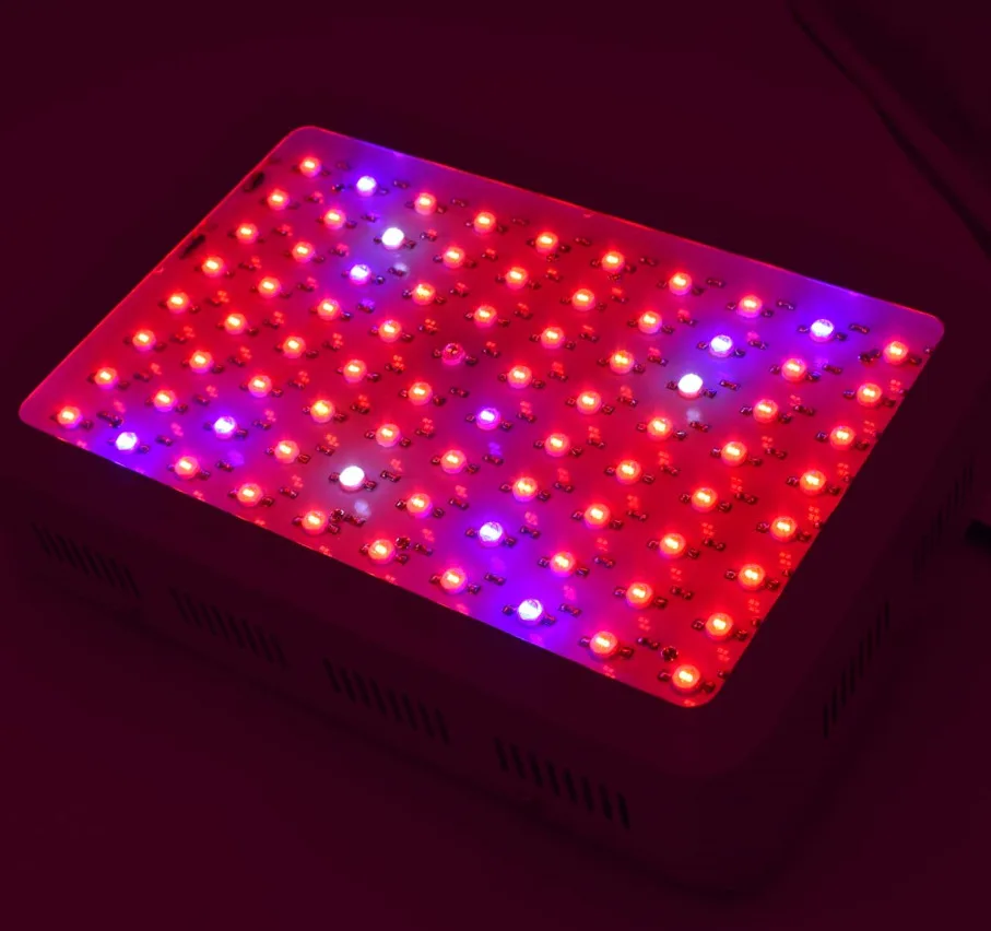 800W02