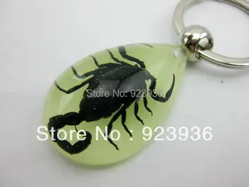 

Free shipping Wholesale Mixed 20pcs/Lot Real Black cool scorpion in GLOW Resin Fashion Keychain