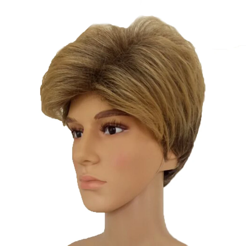 HAIRJOY Male Synthetic Ombre Hair Brown Mixed Short Straight Layered Natrural Wig Man High Temperature Fiber Wigs Free Shipping