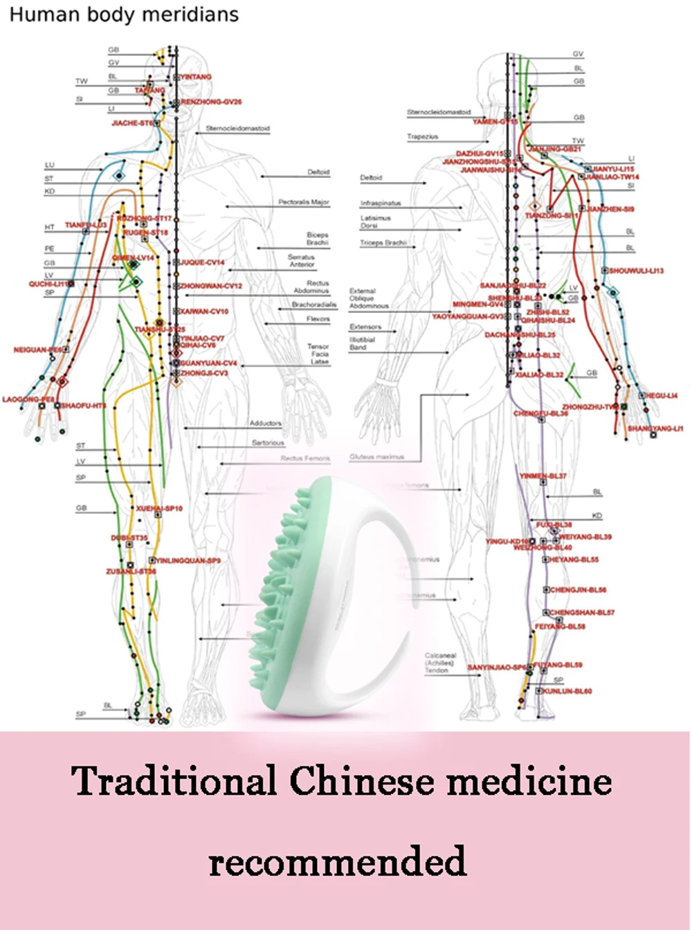 Chinese_meridians 